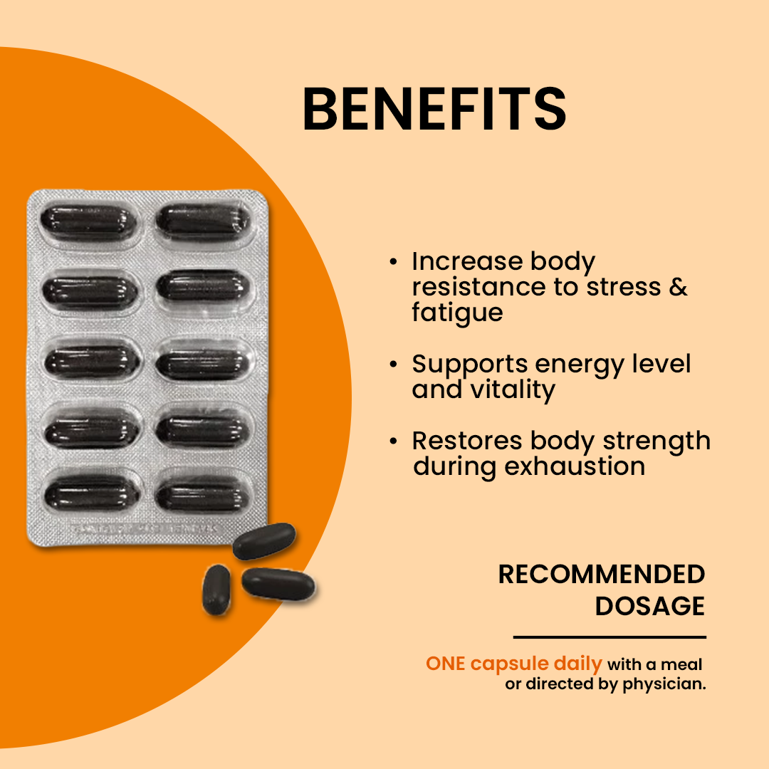 BiO-LiFE Ginsomin Korean Panax Ginseng Extract With Multivitamins with Minerals [ 30 capsules ]